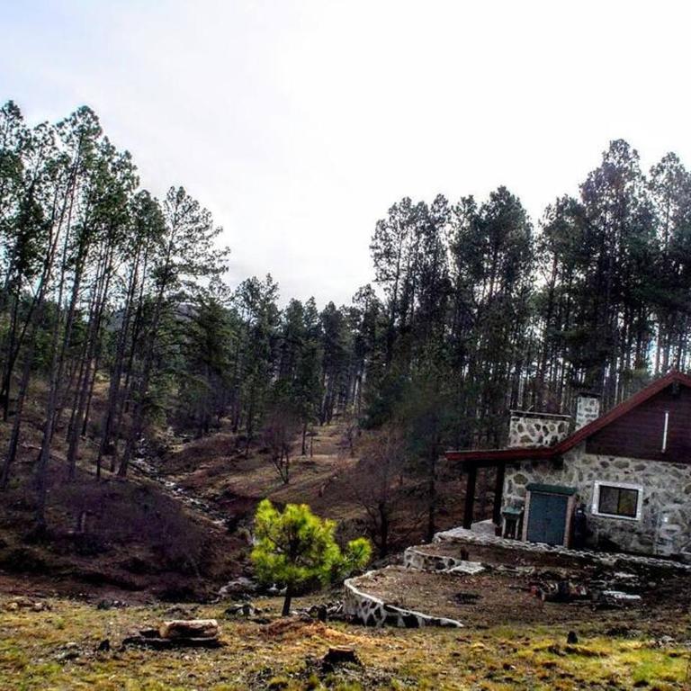 Cabaña villa alpina Mantillo de bosque - Chalet de 2 dormitorios - 8