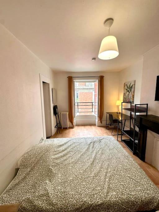 Le Nid - Cosy T2 - Hyper-centre - Appartement 1 Chambre - 16