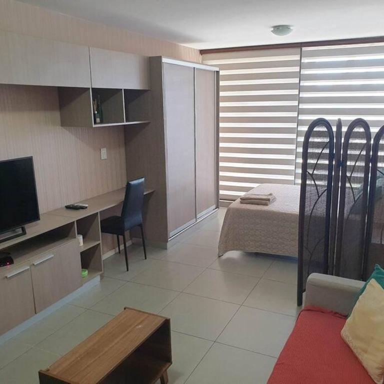 Hermoso y moderno monoambiente en Santa Cruz - Apartamento de 1 dormitorio - 1