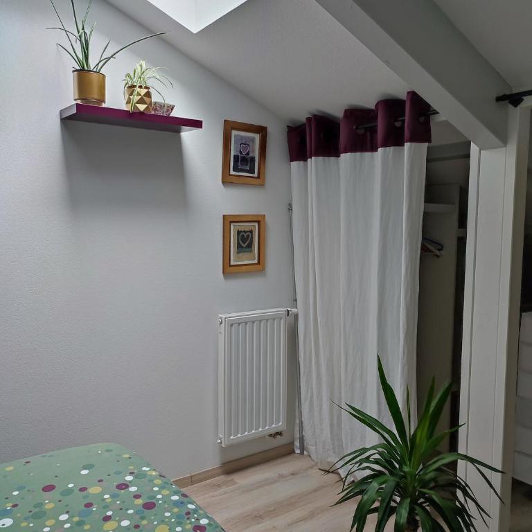 Location de charme T3 au 2e étage et dernier étage - Apartamento de 2 dormitorios - 40
