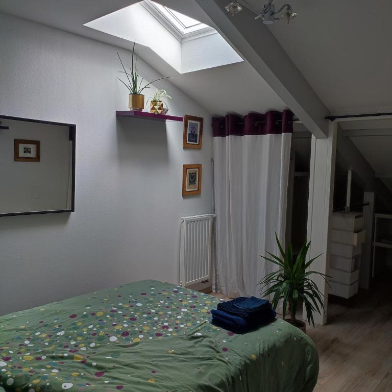 Location de charme T3 au 2e étage et dernier étage - Apartamento de 2 dormitorios - 37