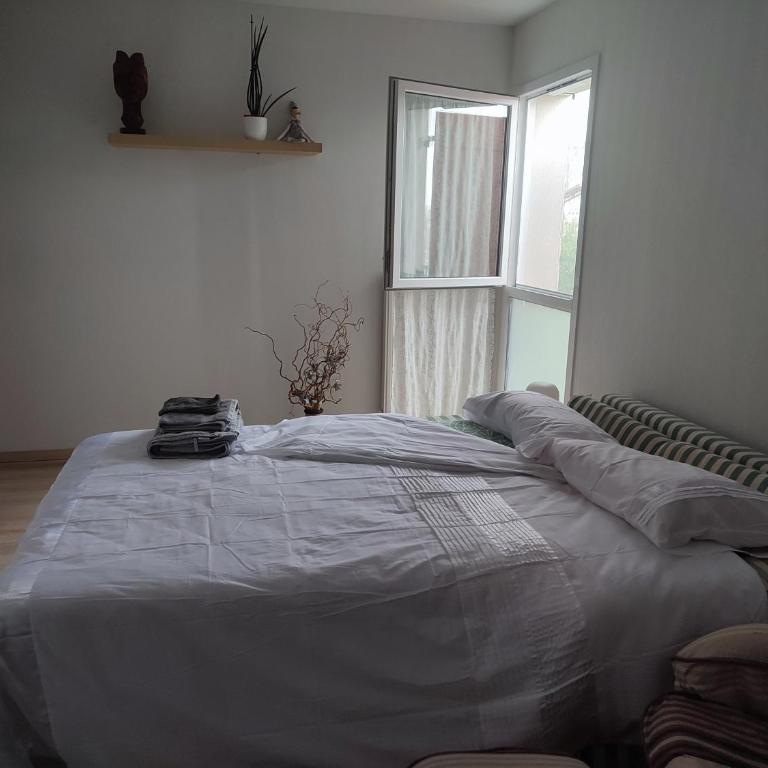 Location de charme T3 au 2e étage et dernier étage - Apartamento de 2 dormitorios - 31