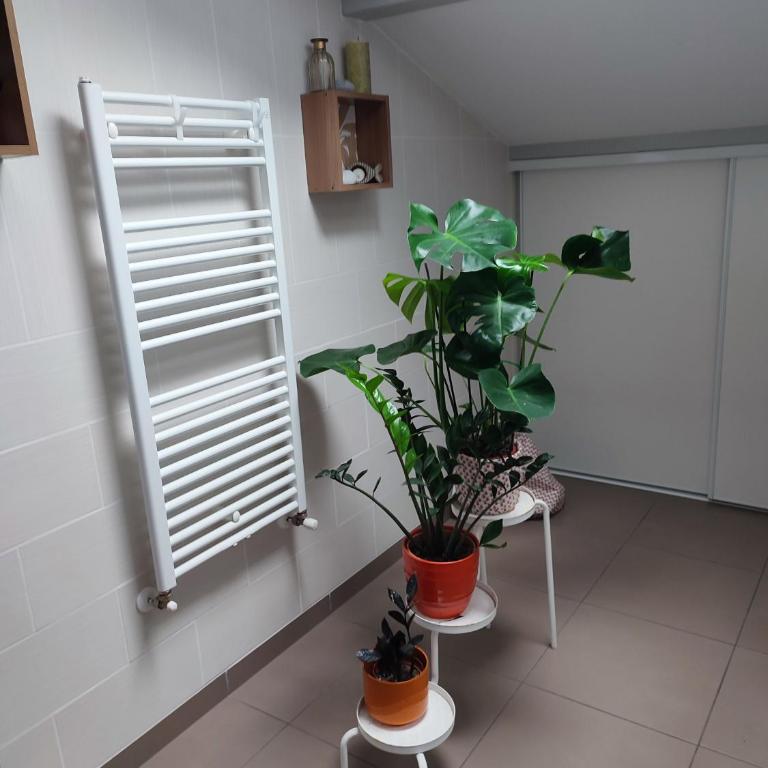 Location de charme T3 au 2e étage et dernier étage - Apartamento de 2 dormitorios - 26