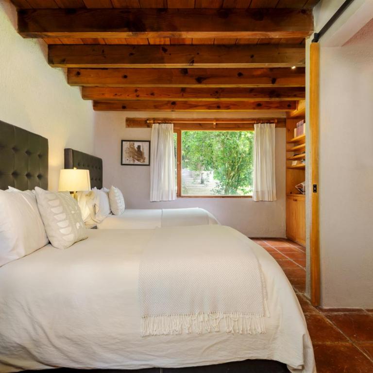 Casas Abi, A Tranquil Retreat Surrounded by nature - Villa con vistas al jardín - 62