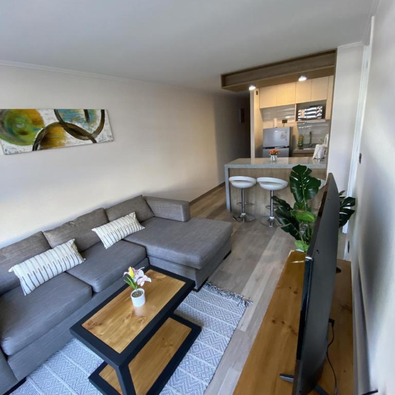 Bonito departamento en el corazón de Concepción - One-Bedroom Apartment - 1