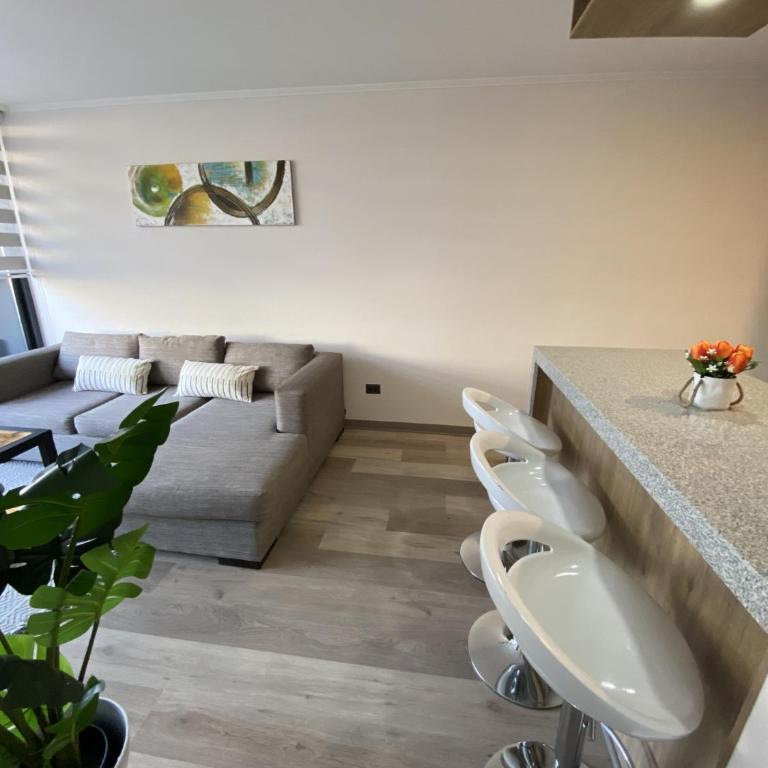 Bonito departamento en el corazón de Concepción - One-Bedroom Apartment - 2