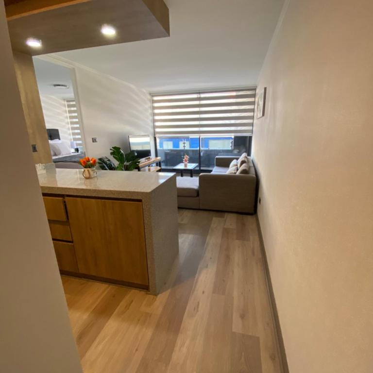 Bonito departamento en el corazón de Concepción - One-Bedroom Apartment - 3