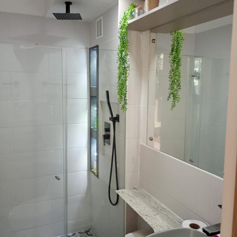 apartamento central Pereira - Two-Bedroom Apartment - 4