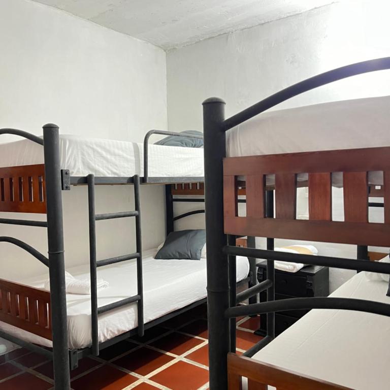 Hostal Coco River Minca - Habitación Cuádruple con baño compartido - 3