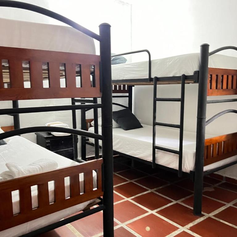 Hostal Coco River Minca - Quadruple Room with Shared Bathroom - 6