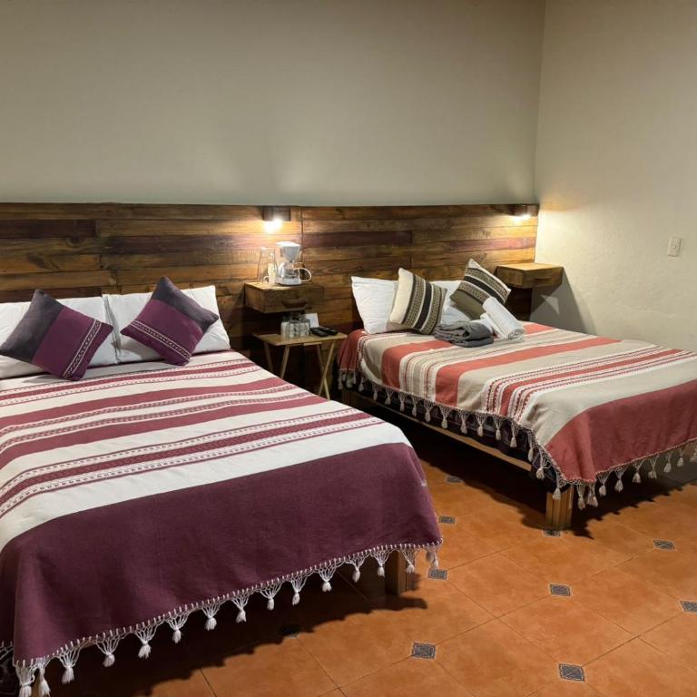 Arte Sano Hotel San Cristobal - Twin Room - 3