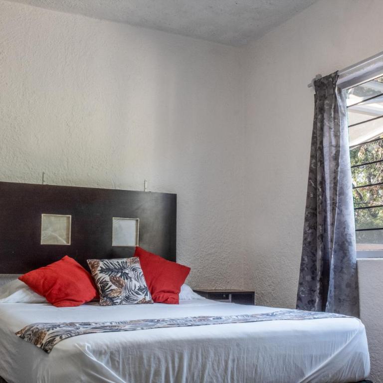 Céntrico Estudio en Chapalita Tu Refugio Ideal 15 - Apartamento de 1 dormitorio - 22