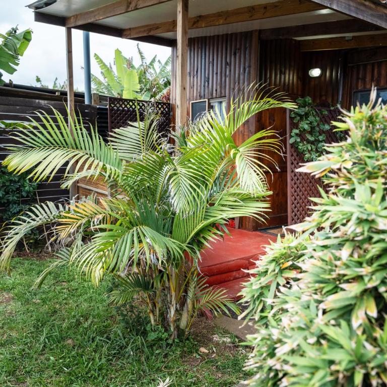 Ngahu alojamiento y desayuno con vista al mar en Rapa Nui - Apartment with Garden View - 14