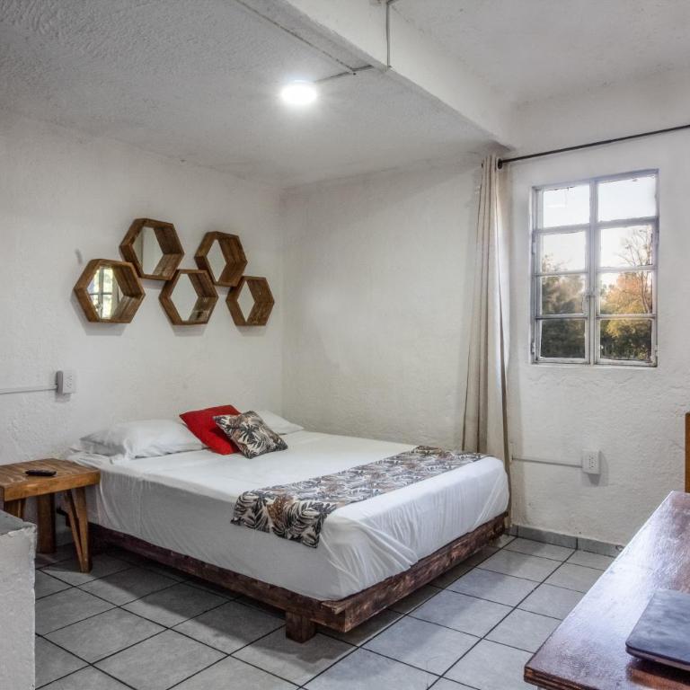 Roof Estudio con Terraza en Chapalita 27 - Apartamento de 1 dormitorio - 30