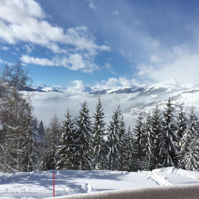 Chalet spacieux pour 14 avec sauna et cheminée aux Arcs 1600 - FR-1-411-959 - Chalet - 3