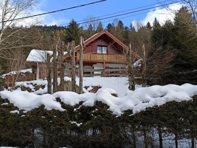 LES CIMES BLANCHES CLEDICIHOME Chalet 10 pers SPA & Grand terrain 4 MINUTES DES PISTES - Chalet - 37