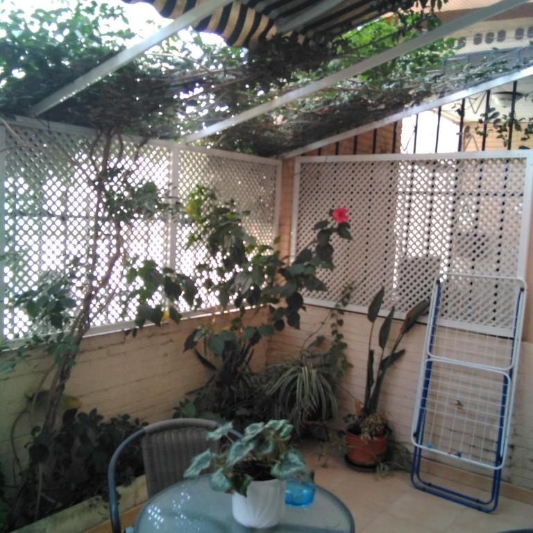 Cozy and charming house in Sevilla - Apartamento - 32