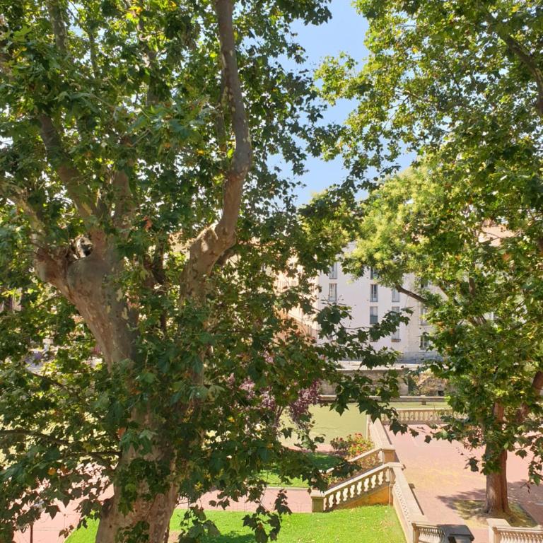 les jardins de l'archevêché - Appartement 1 Chambre - 7