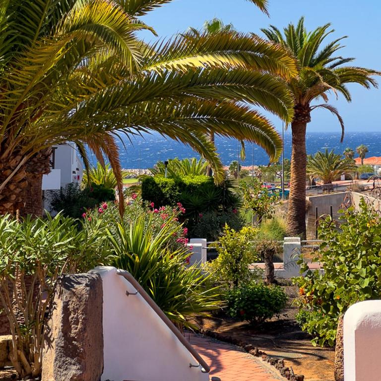Albatros Sunny Relax - Apartamento de 1 dormitorio - 40