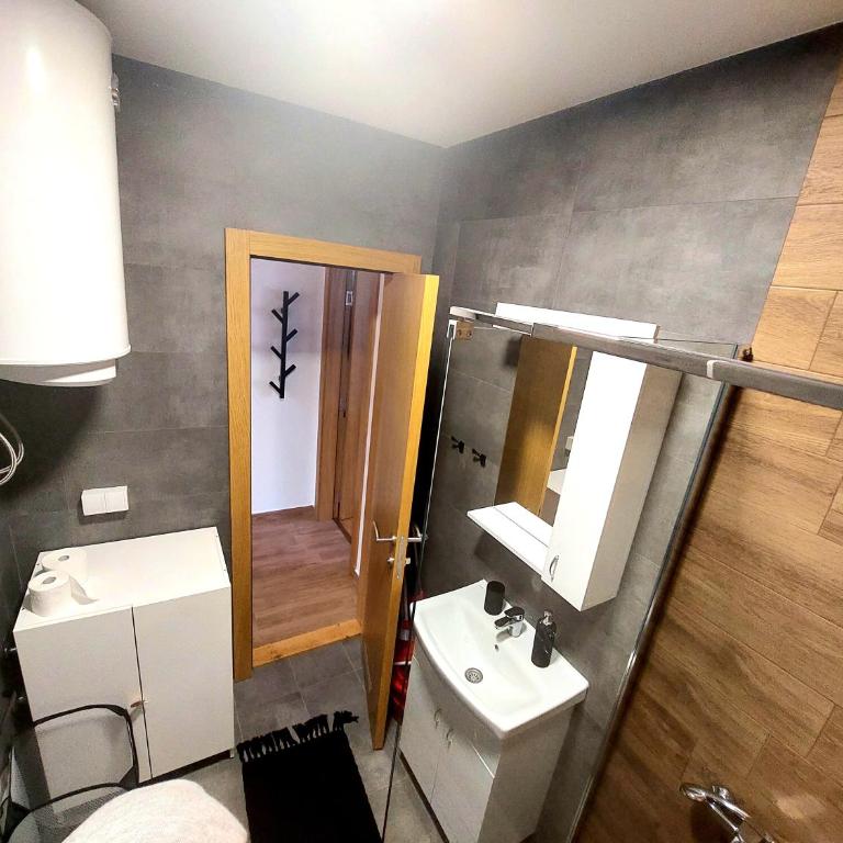LION apartman - Apartman sa 1 Spavaćom Sobom - 10