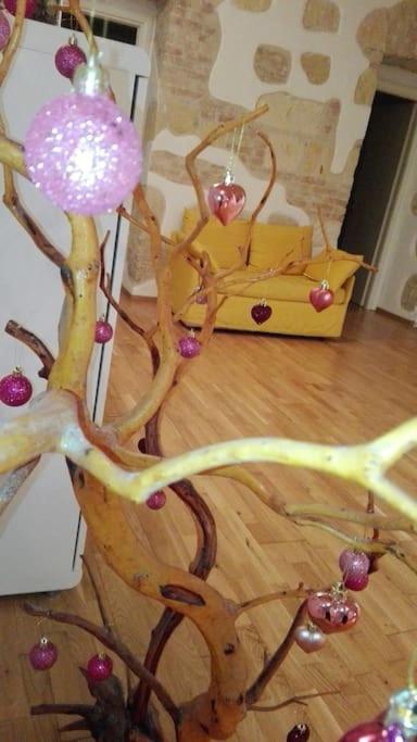 Ibiscus apartment - Appartamento con 1 Camera da Letto - 14