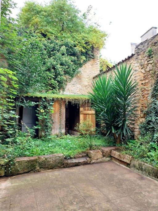 Le Patio - Cinélodge avec jardin - Maison 2 Chambres - 16