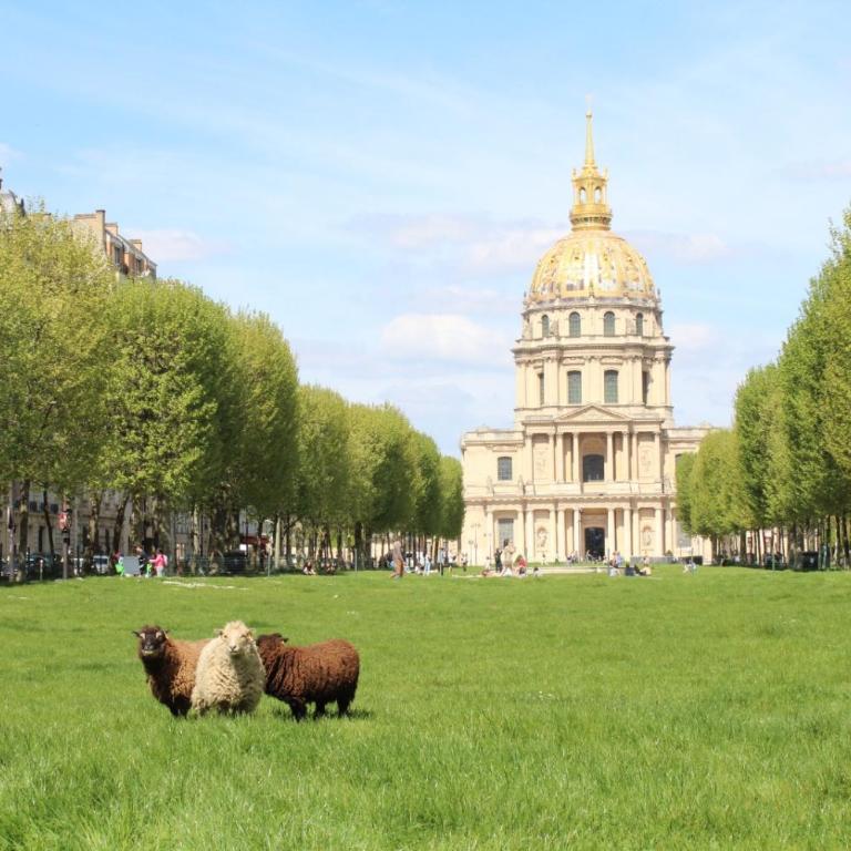 Bright & elegant appartment with view over Invalides, near St Germain des Prés - Appartement avec Vue et Balcon - 24