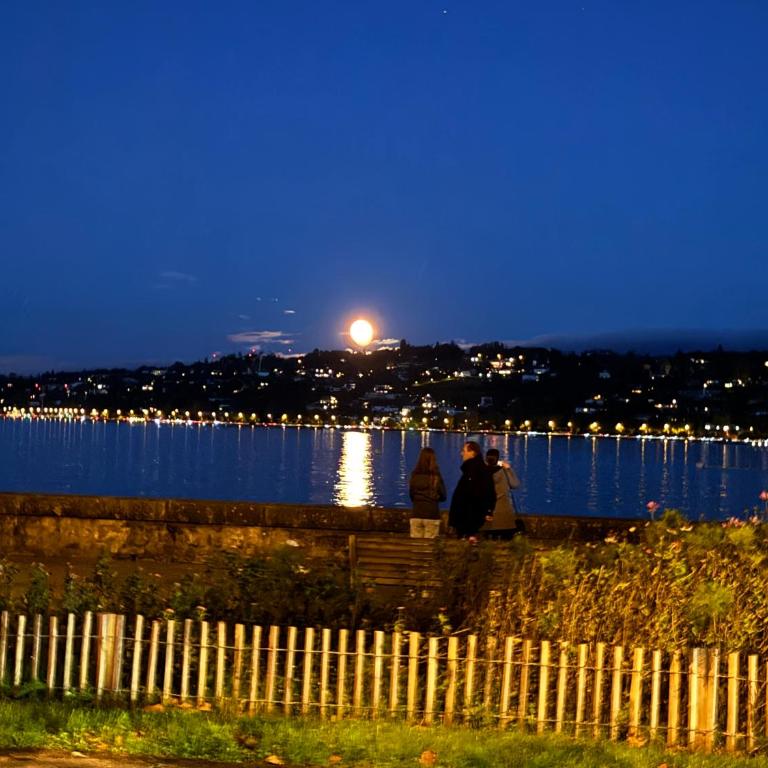 Amazing location Geneva , Eauv-Vives - Appartement 2 Chambres - 10