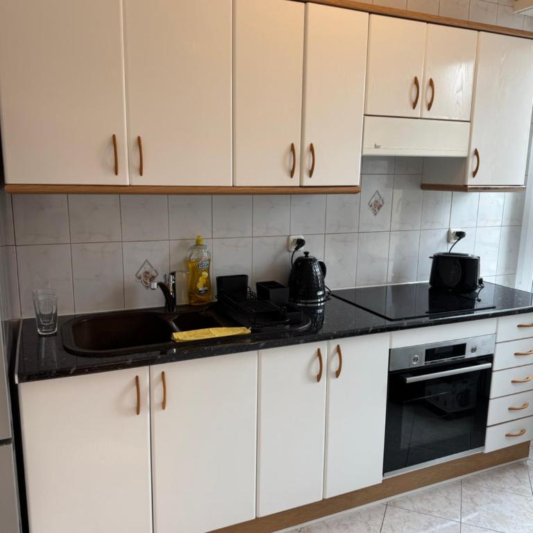 Amazing location Geneva , Eauv-Vives - Appartement 2 Chambres - 4