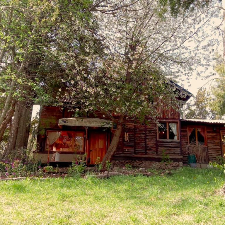 Casa Bosque del Caiquén - Casa de 2 dormitorios - 14