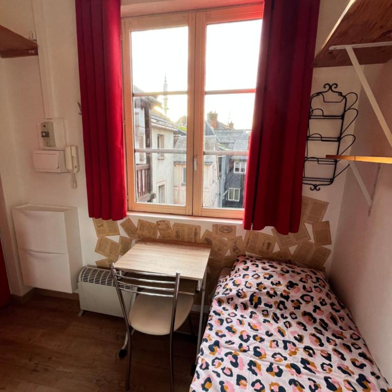 Petit nid ensoleillé - Apartamento de 1 dormitorio - 1