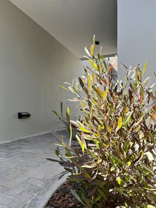 Quinta Bliss - Apartamento de 2 dormitorios - 16