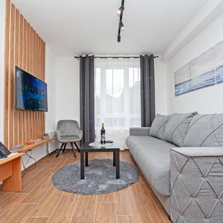 Apartman Kopaonik u Kraljevim Čardacima - One-Bedroom Apartment - 5