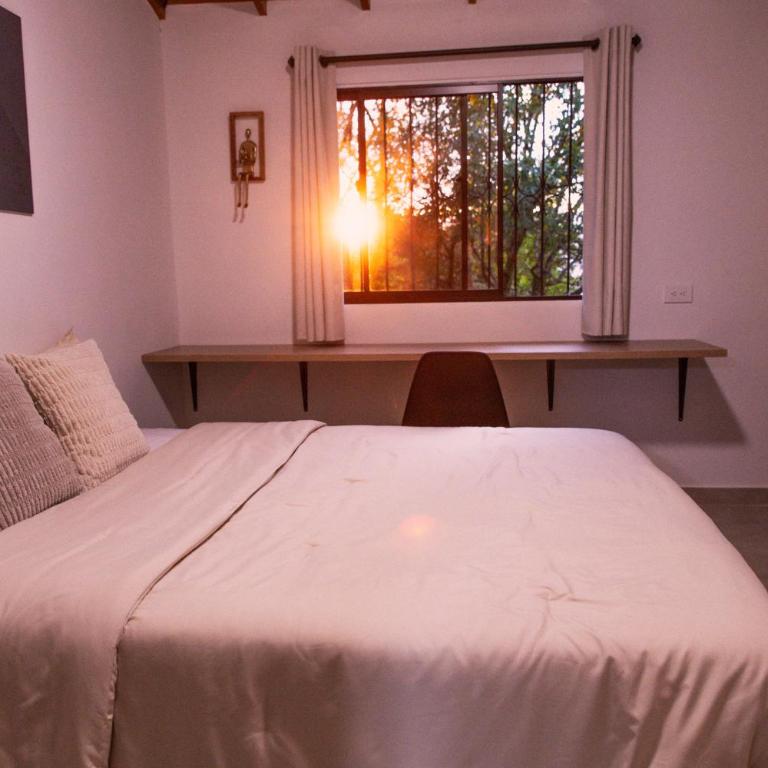 Apartamentos con vista boscosa y parking en Buenos Aires, Medellín - Apartamento de 2 dormitorios - 9