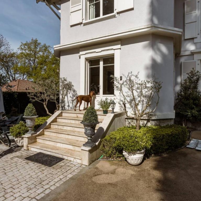 Residence Mont-Blanc - Appartamento - Piano Terra - 15