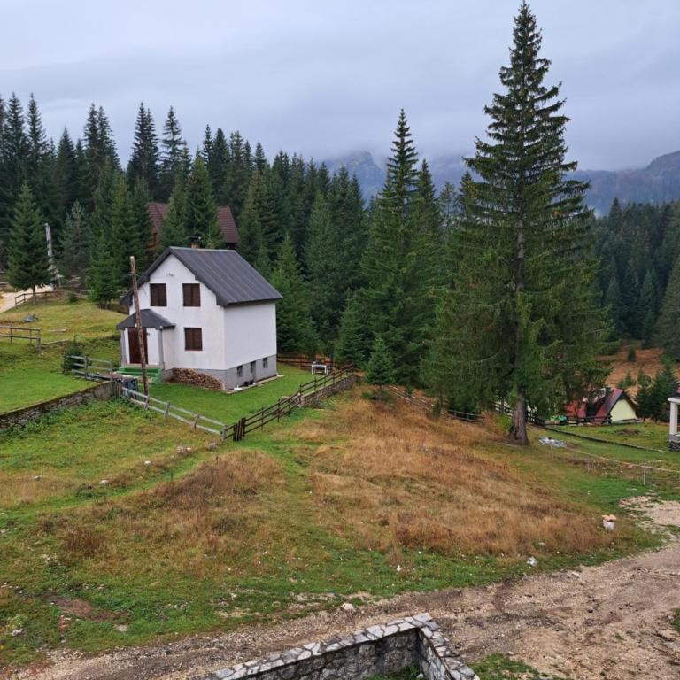 Villa JELENA - Guest House Nela - Quadruple Room with Mountain View - 8
