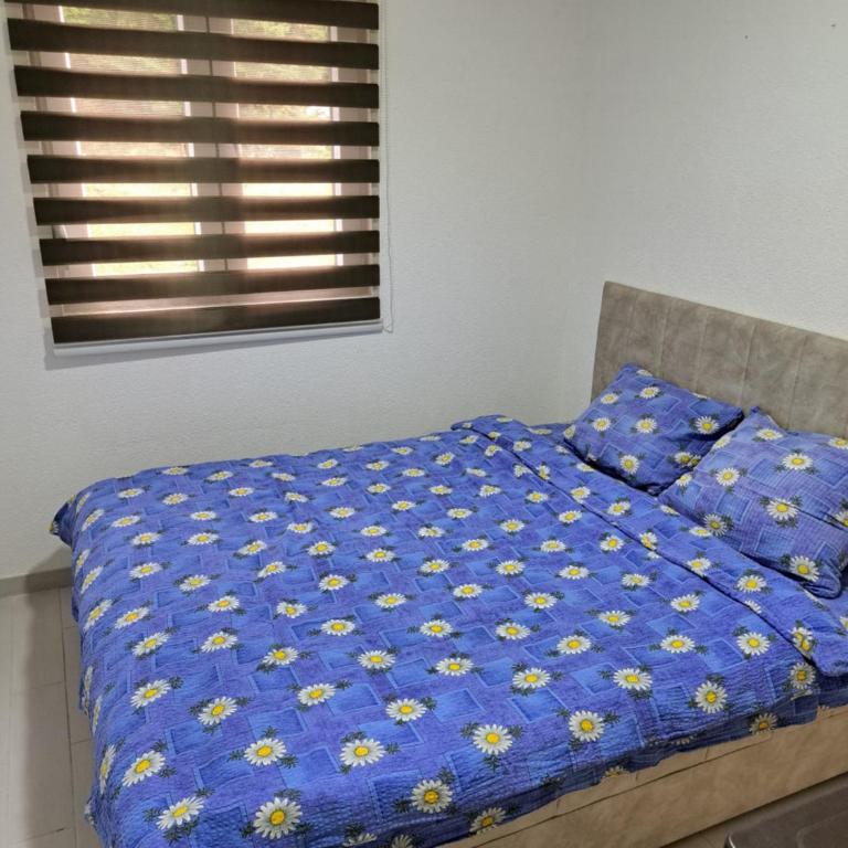 Villa JELENA - Guest House Nela - One-Bedroom Apartment - 8
