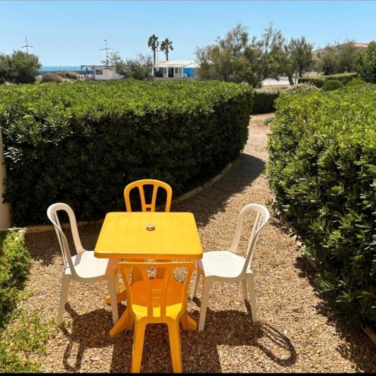 Les pieds dans l'eau - Estudio con vistas al mar - 3