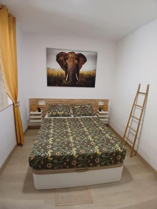 Elephant house a 10 minutos del Centro - Apartamento de 1 dormitorio - 1