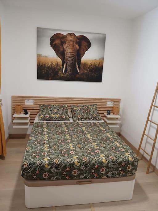 Elephant house a 10 minutos del Centro - Apartamento de 1 dormitorio - 6