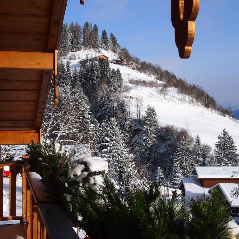 Chalet Sonnberg - Chalet with Balcony and Terrace - 7