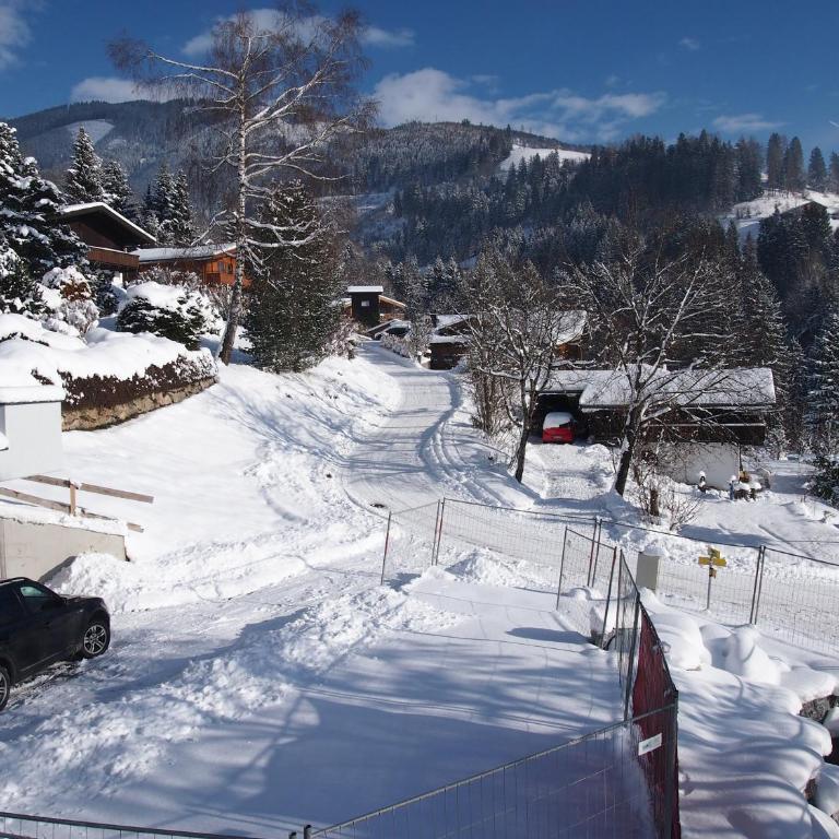 Chalet Sonnberg - Chalet with Balcony and Terrace - 8