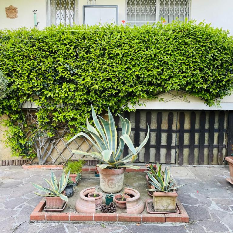 Casa del Riccio - Casa con 3 Camere da Letto - 23