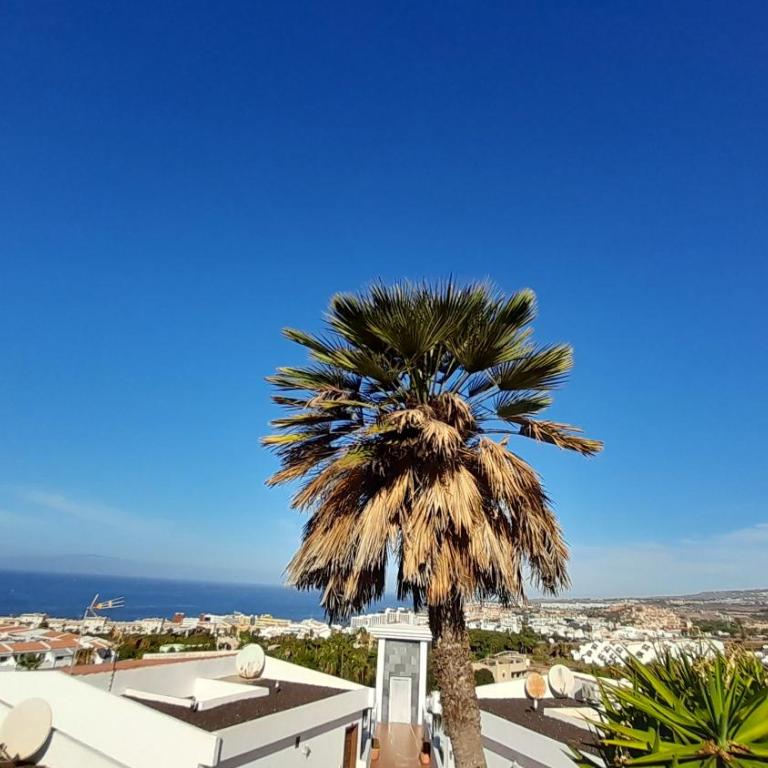Apartments Island Village Heights - Apartamento con vistas al mar - 48