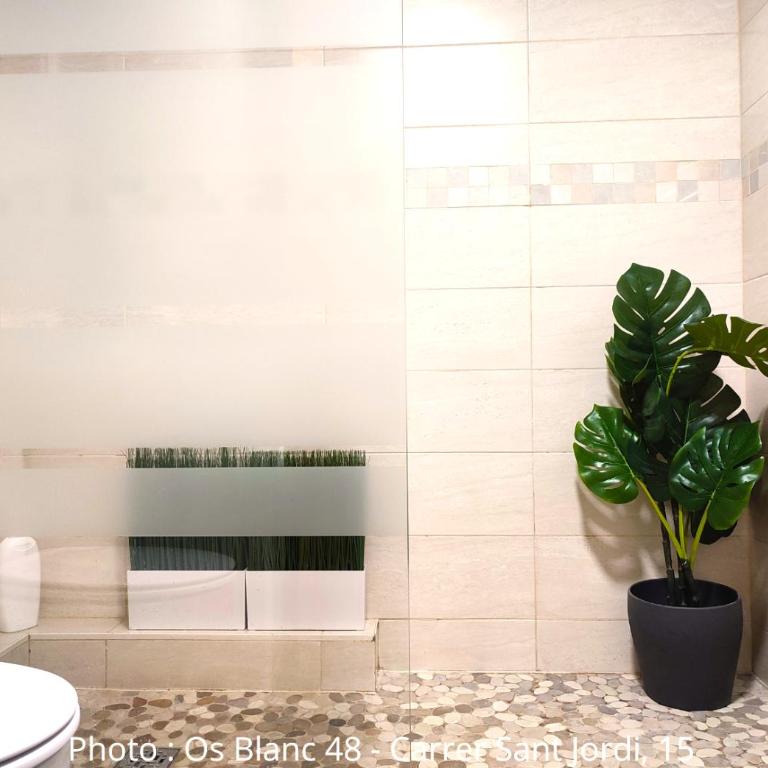 Duplex Holidays Andorra - Apartamento de 1 dormitorio - 5