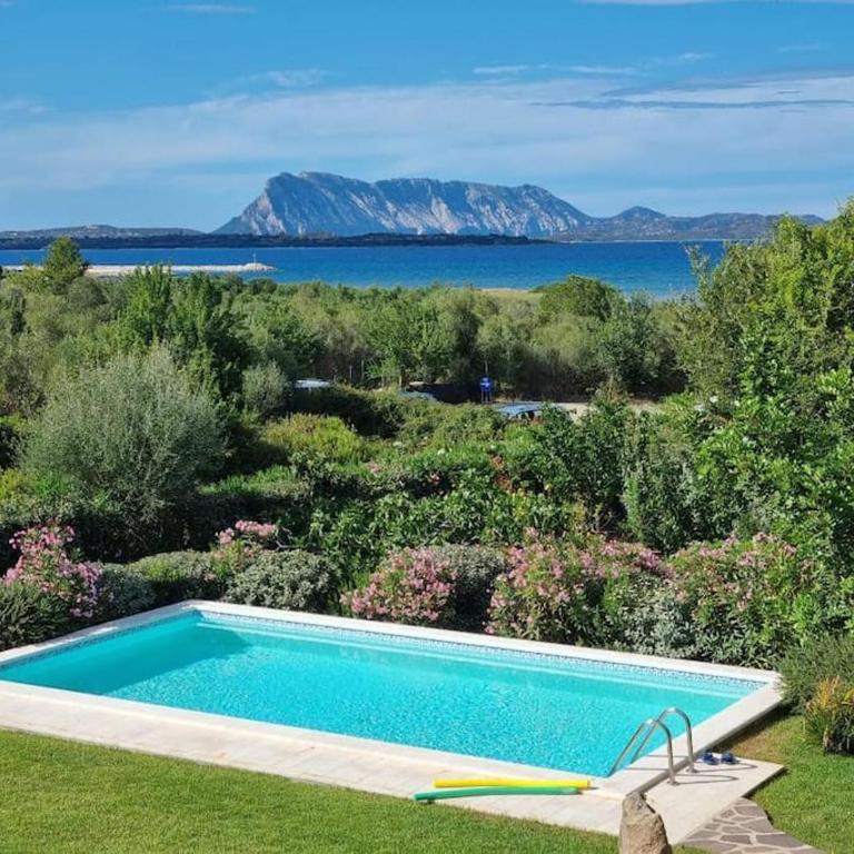 Villa with Pool, Garden and Sea View - Villa - 1