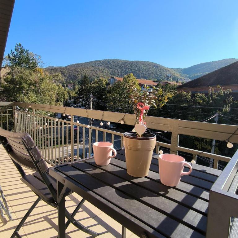 Smestaj Dzentlmen - Studio with Balcony - 9