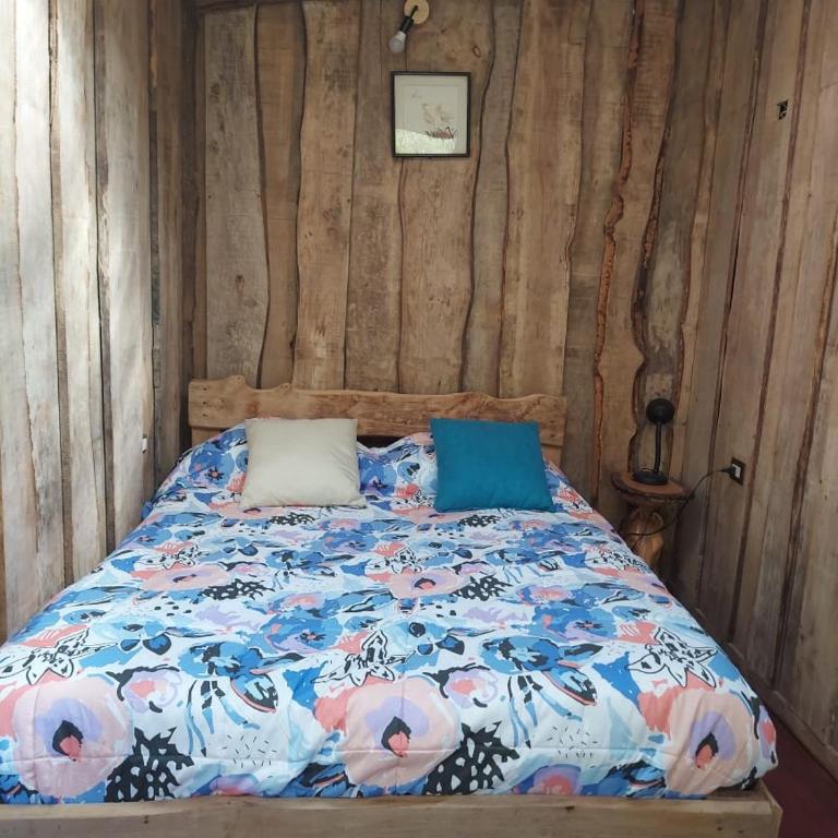 Cabañas Cauchao Chaitén - One-Bedroom Apartment - 1