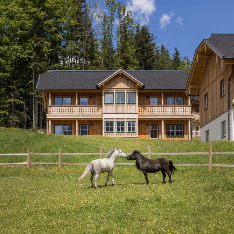 Narzissendorf Zloam am Grundlsee - Studio Apartment - 9