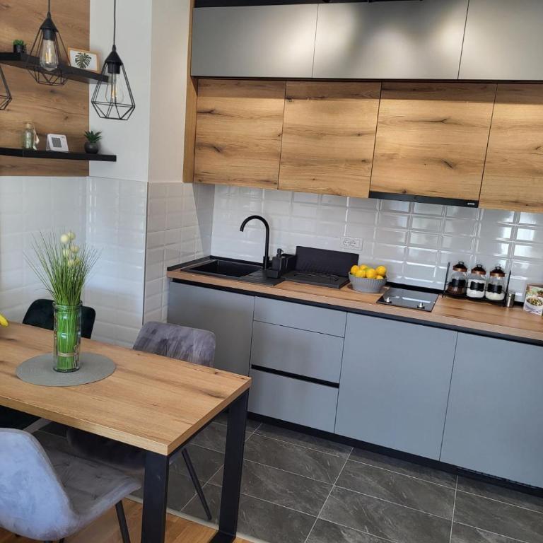 Apartman Adam Divčibare - Apartman sa 1 Spavaćom Sobom - 4